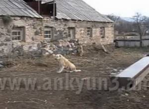 All the houses in Tsater village have dollar loans