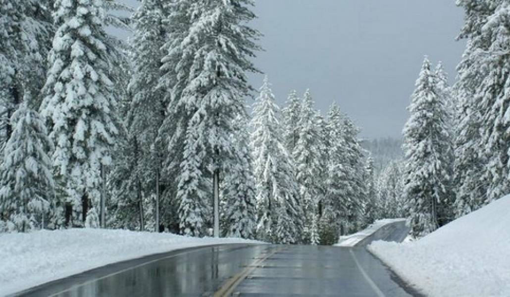 roads