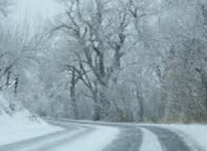 Snow, fog and black ice on the roads