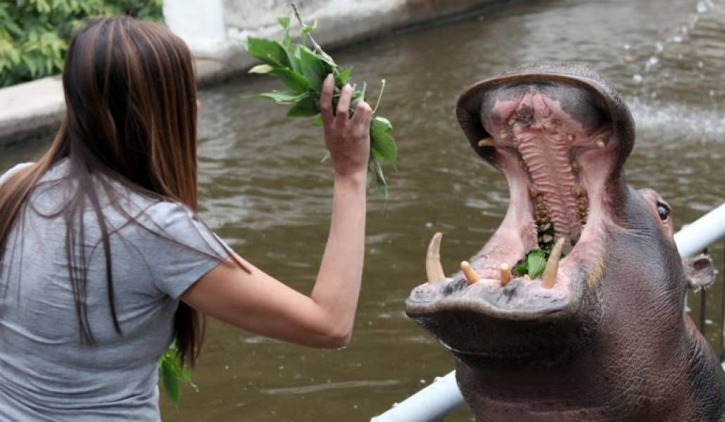 e750cb5cc11306f98d8208e9caddaeac