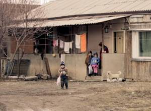 Even firewood is a dream for people living in temporary shelters