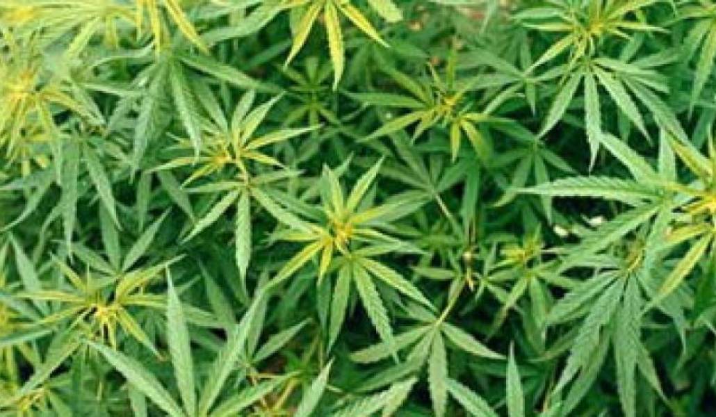 bb26865608c23dcd8637cfc2e7420aff