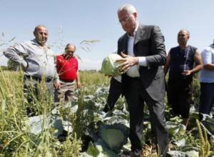 Անգամ ճգնաժամի պայմաններում գյուղատնտեսության ՀՆԱ-ն աճ է ապահովել