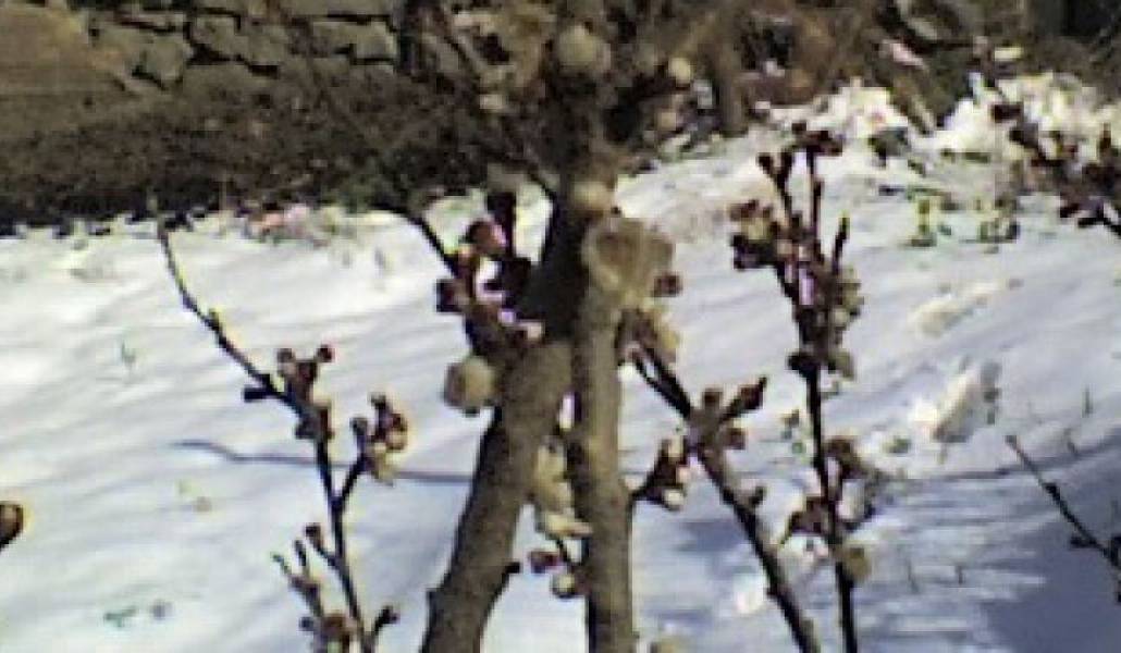 0d3b22bcccaa662d8f24a7c1761fde79