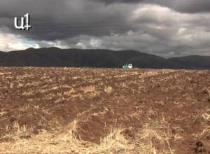 Գարնանացան սերմացուների բաշխման գործընթացն ավարտվեց