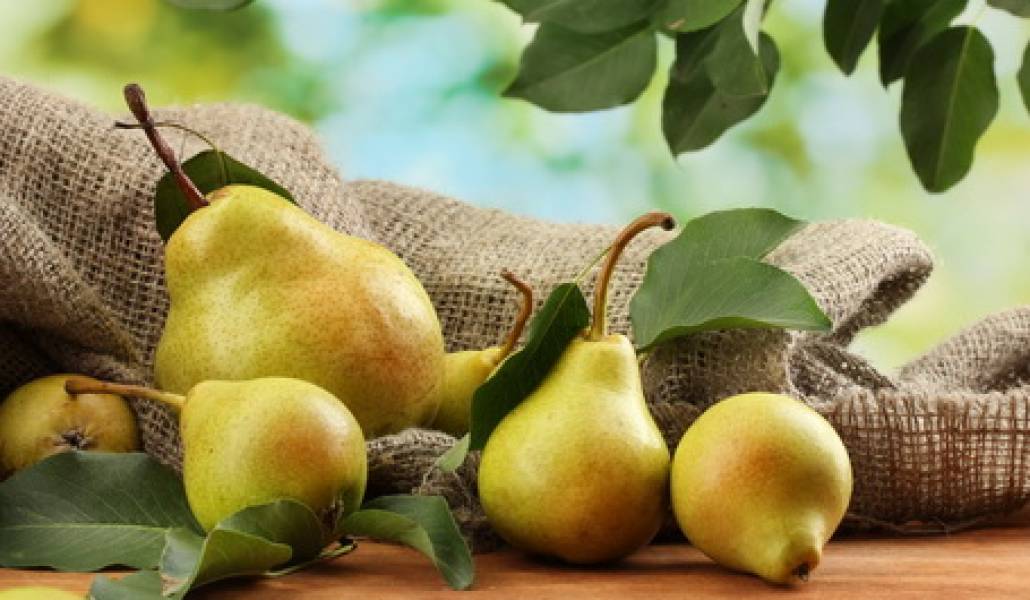 pears