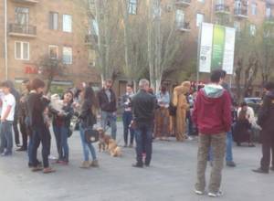 Սննդահավաք և դրամահավաք կենդանիների համար
