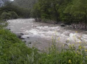 Car appeared in the Debed