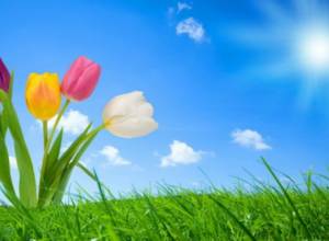 No precipitation predicted on May 1