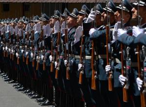 Что могла сделать полиция?