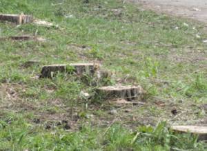 EcoLur: Alarm signal from Sevan city