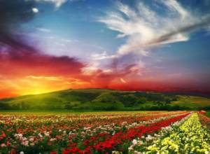 Weather forecast for the next 5 days