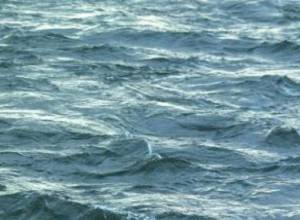 В Ереванском озере обнаружен труп мужчины