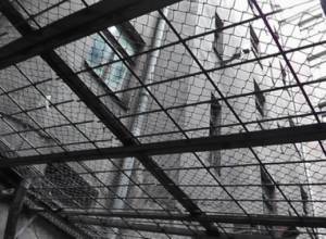 In KGB cells- the Bible instead of toilet paper