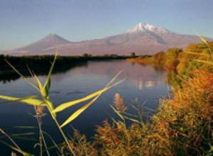 Car falls into stream: No casualties reported