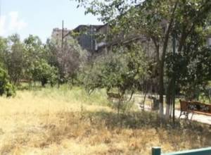 37 trees dried up at Sundukyan 90