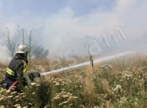 Details about fire in Yerevan Botanical Garden (photos)