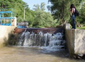 Որոշ փոքր ՀԷԿ-եր շահագործողներ համոզված են, որ ձկներն ունեն ոտքեր. ՀԲՃ