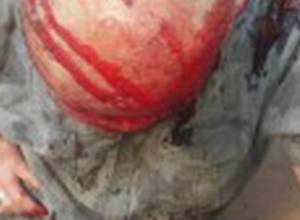 УП осуждает  насилие по отношению к  воину-освободителю