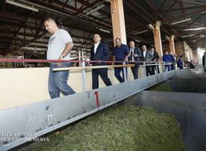 Закупщики винограда подняли вопрос привлечения дополнительных финансовых средств