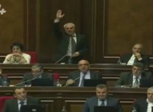 National Assembly votes in favour of draft constitution