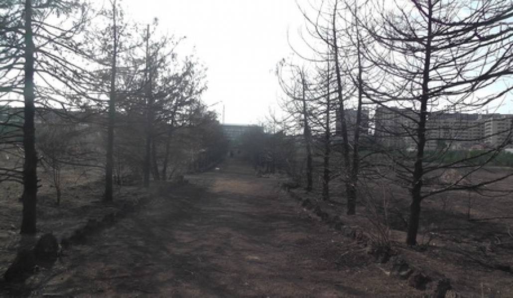 busabanakan-nkaar