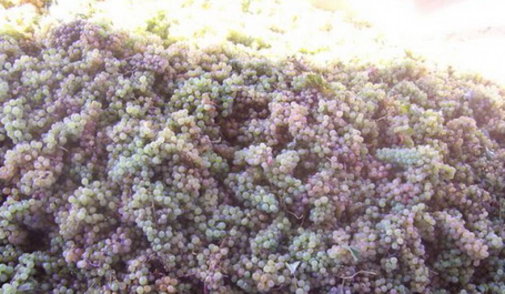 EQ5RxXzGDYxRNixIFxLrNuM9Xu