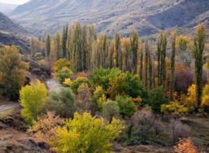 Иностранные гранты министерства охраны природы