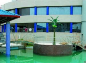 Mali attack: Special forces storm hotel to free hostages: Nine reported dead (updated)