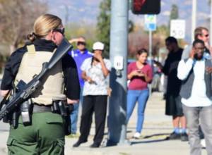 Fourteen people killed in California shooting