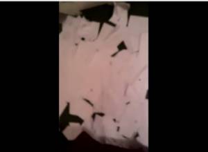 Ballot papers found scattered at polling station