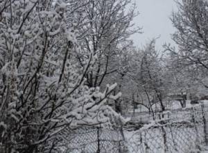 Автомобильная дорога Берд-Чамбарак закрыта