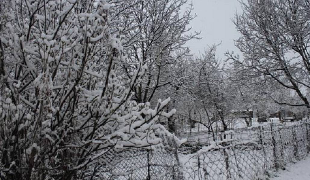 snow