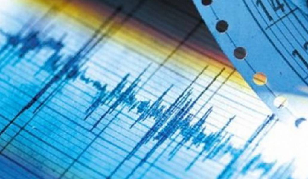 Վրաստանում 4 բալանոց երկրաշարժ է գրանցվել