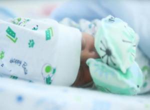 Birth rate increased