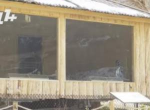 Heated buildings for Zoo animals