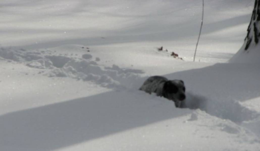 0bcc46a5fed5e92be60d3683a055d0bc