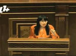 Naira Zohrabyan: “It isn’t known how the credit will be spent”