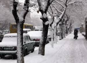 «Սանիտեկ»-ը շնորհակալություն է հայտնում թեյի համար