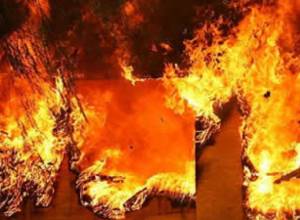 Сгорел продуктовый магазин