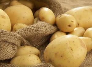 Экспортировали в 3 раза больше овощей