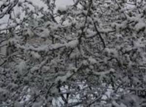 В Ашоцком районе температура воздуха достигнет -32 ․․․- 34 градусов