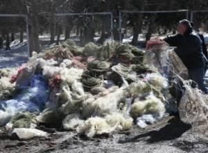 Уничтожена очередная партия конфискованных рыболовных сетей
