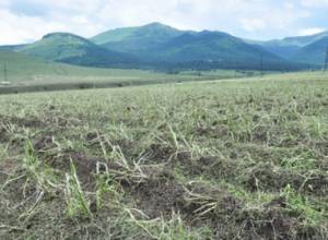 Житель села вышел в поле и не вернулся
