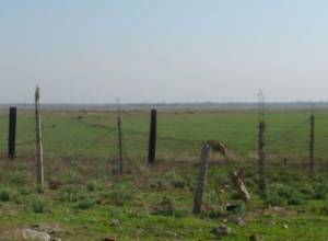 Ceasefire agreement mostly honoured: Karabakh reports about Azerbaijani troop movement in some areas