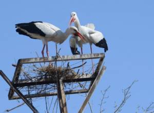 Air temperature to go up and down