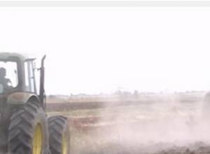 Border tension doesn’t hinder spring sowing