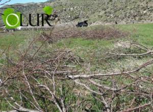 Գնդեվազի հողերը կօտարվեն Ամուլսարի համար. ԷկոԼուր