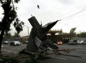 Вследствие сильного ветра зарегистрировано 269 случаев