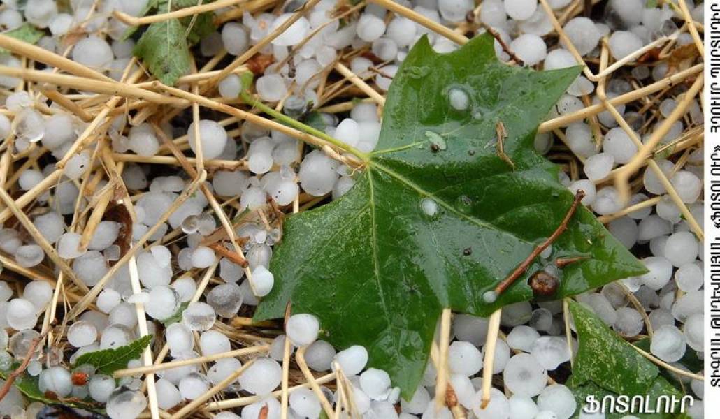 7fe7caad4b09830a0eb7f38b56c859d5